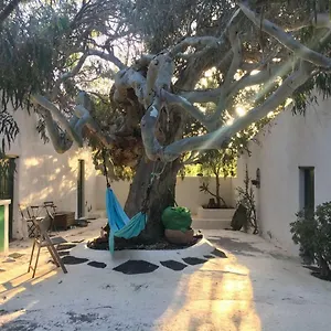 Bed & Breakfast Patio Ii At